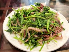 芜爆肚丝-鑫来子菜馆