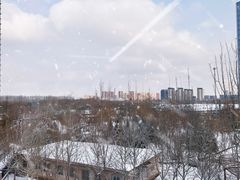 -大望京公园