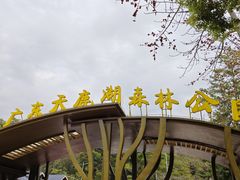 -天鹿湖森林公园