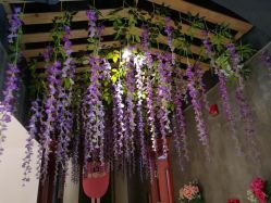 -Cocodemer 产后恢复中心(多伦路店)