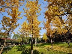 -洨河生态公园