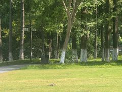 -范蠡湖公园