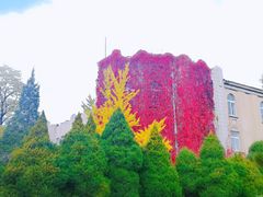-辽宁大学(崇山校区)
