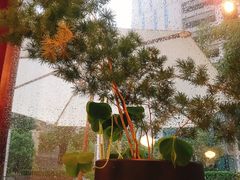 -肥朵食堂(带梦胡同店)