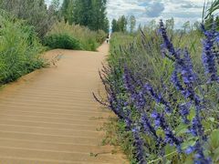 -呈贡滇池生态湿地公园