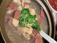 鸭血粉丝砂锅煲-南京大牌档(富力海珠城店)