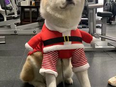 -YCHL Studios健身工作室(市二宫店)