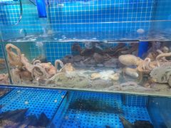 -前王院•巧克力海鲜市集餐厅(万平口店)