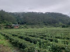 -武夷山风景名胜区-虎啸岩
