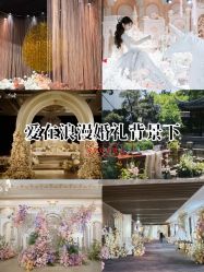 -DC大蔡婚礼策划(李公堤店)