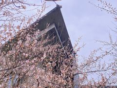 -国际非物质文化遗产博览园