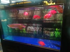 -马仕玖煲·融合菜·酥不腻烤鸭(人大店)