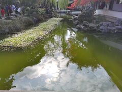 -秋霞圃