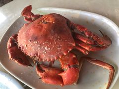 -蚝乡农庄(铁涌赤岸店)