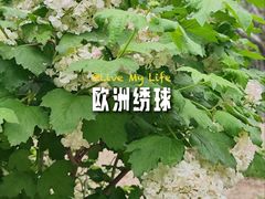 -炎黄艺术馆