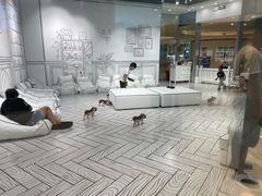 -丘大叔柠檬茶(来福士广场分店)