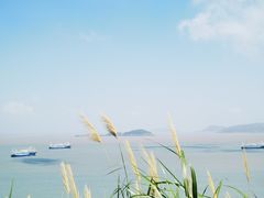 -温岭石塘海边