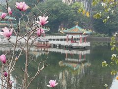 -星湖旅游景区七星岩