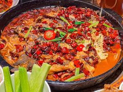 -老板恋上鱼(恒隆广场店)