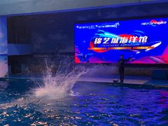 -锦艺城海洋馆
