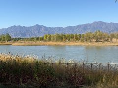 -野鸭湖国家湿地公园