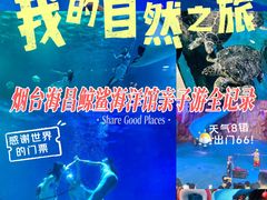 -烟台海昌鲸鲨海洋公园