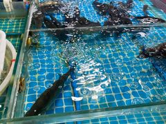 -王四营海鲜市场
