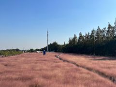 -嘉北郊野公园