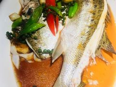 -绿茶餐厅(成都大悦城店)