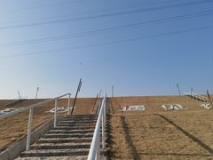 -佛手湖郊野公园
