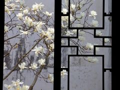 -耦园