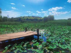 -马家湾湿地公园