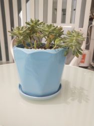 -AiCure 埃可儿·韩国医学皮肤管理