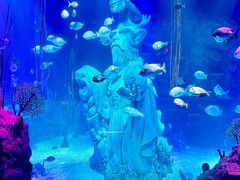 -沈阳海洋探索中心