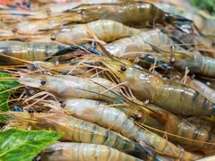 -重庆丽苑维景国际大酒店·海鲜自助餐厅