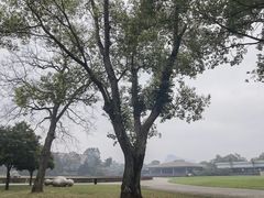 -Club Med地中海俱乐部·桂林度假村