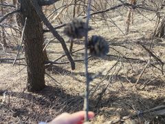 -白草畔自然风景区