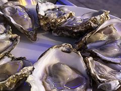 -千岛蚝高压锅生蚝·人参火锅(白云万达店)