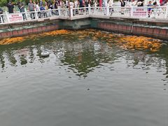 -长春市南湖公园