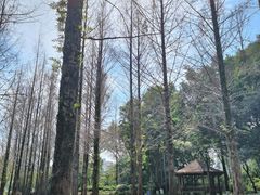 -金山公园