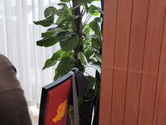 -解家河南菜(商鼎路店)