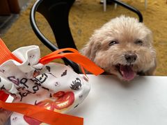 -弗兰克牛排西餐厅Ribone steak house(柠檬花园店)