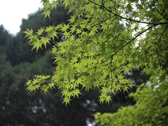 -陕西师范大学(雁塔校区)