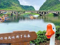 -靖西鹅泉风景区
