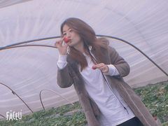 -喜杨洋草莓采摘园
