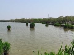 -西青郊野公园