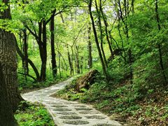 -玉渡山自然风景区