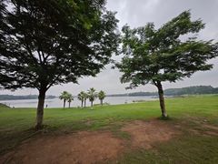 -仙湖旅游度假区