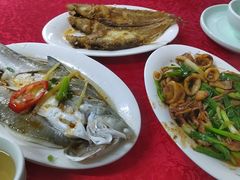 -蛇口康乐快餐鱼仔档(翠苑小区店)