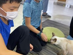 -Heymao猫咖.咖啡厅(东门店)